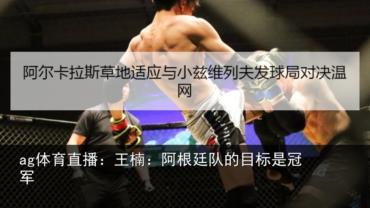 ag体育直播：王楠：阿根相关情况